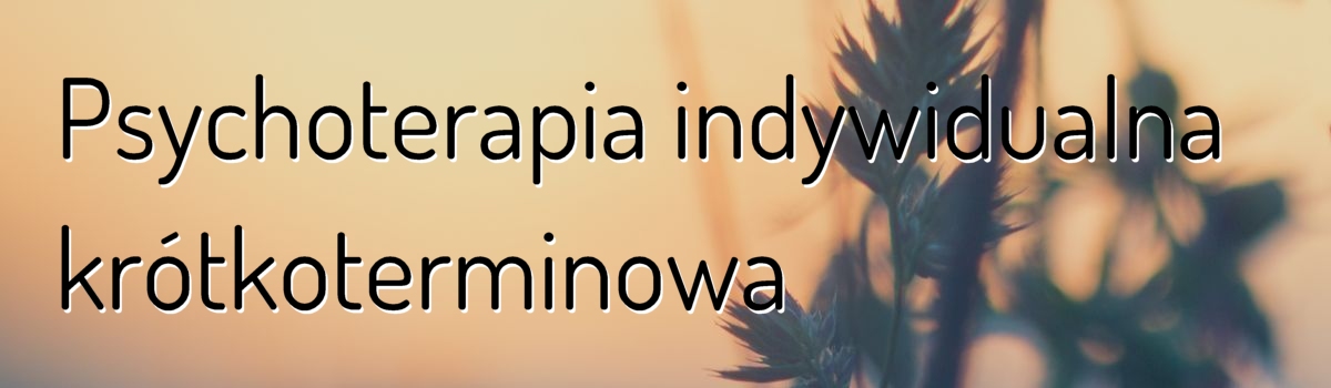Psychoterapia indywidualna krótkoterminowa Anna Ormaniec Dunaj